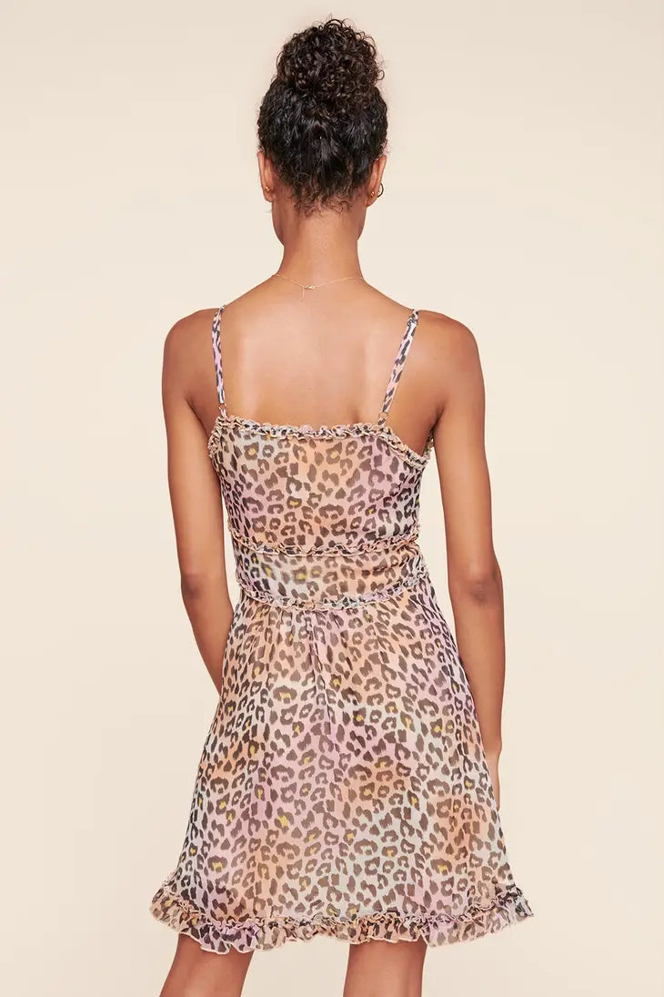 Cheatah Print Mini Dress